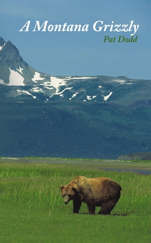 A Montana Grizzly