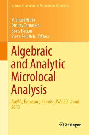 Algebraic and Analytic Microlocal Analysis AAMA, Evanston, Illinois, USA, 2012 and 2013【電子書籍】