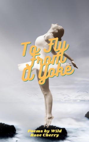 To Fly From A Yoke