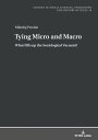 Tying Micro and Macro What Fills up the Sociological Vacuum?