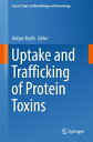 Uptake and Trafficking of Prot