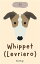 Whippet (Levriero)