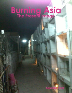 Burning Asia: The Present ImageŻҽҡ[ Saurabh Pant ]