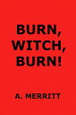 ŷKoboŻҽҥȥ㤨Burn, Witch, Burn!Żҽҡ[ Abraham Grace Merritt ]פβǤʤ80ߤˤʤޤ
