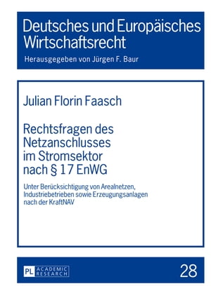 Rechtsfragen des Netzanschlusses im Stromsektor nach § 17 EnWG