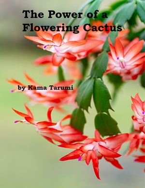 The Power of a Flowering Cactus