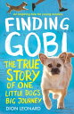 Finding Gobi (Younger Readers edition): The true story of one little dog’s big j...