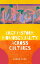 Brief History: Homosexuality Across Cultures【電子書籍】[ Jason Tang ]