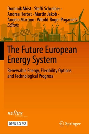 The Future European Energy System