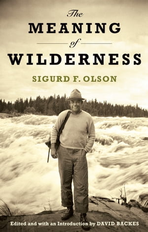 The Meaning of Wilderness