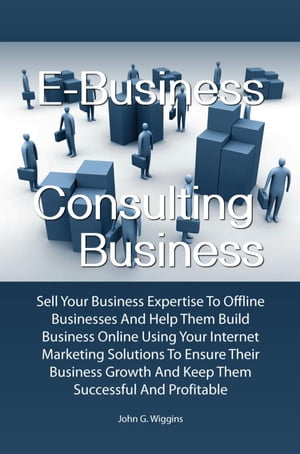 E-Business Consulting Business