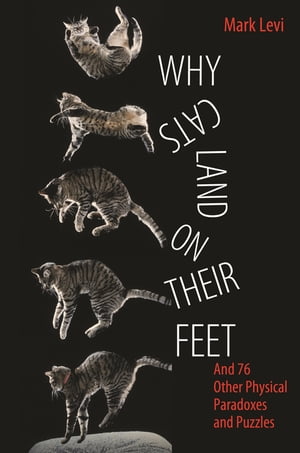 Why Cats Land on Their Feet