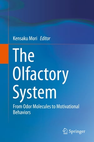 The Olfactory System