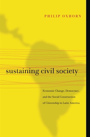 Sustaining Civil Society