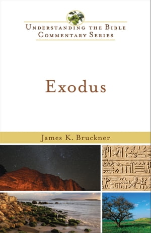 Exodus (Understanding the Bible Commentary Series)