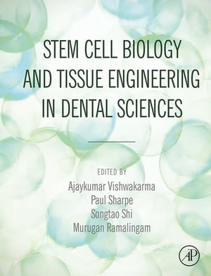 Stem Cell Biology and Tissue Engineering in Dental Sciences