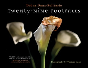 Twenty-Nine FootfallsŻҽҡ[ Debra Danz-Solitario ]