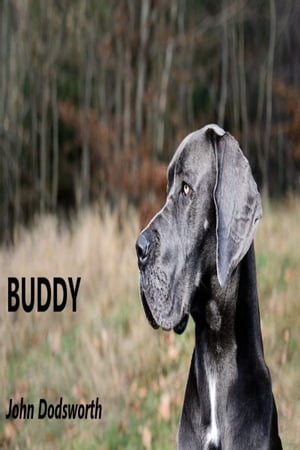 Buddy