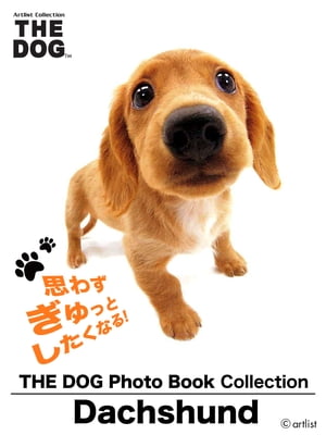 THE DOG Photo Book Collection Dachshund【電子書籍】[ artlist ]