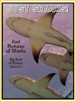 Just Shark Photos! Big Book of Shark Photographs & Pictures, Vol. 1