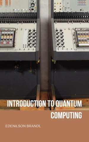 INTRODUCTION TO QUANTUM COMPUTING