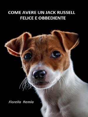 Come avere un Jack Russell felice e obbediente