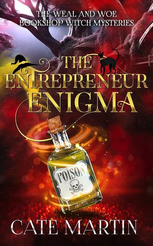 The Entrepreneur Enigma