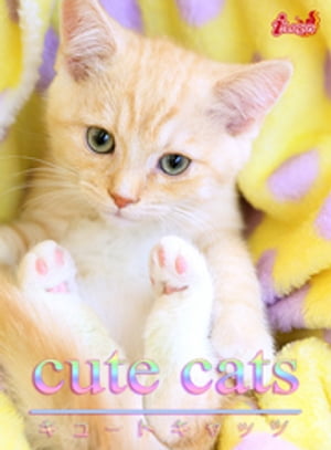 cute cats04 }`JydqЁz