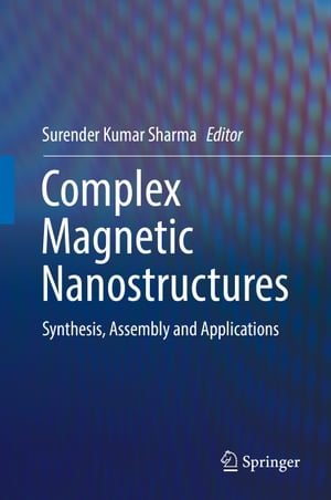 Complex Magnetic Nanostructures