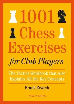 1001 Chess Exercises for Club Players The Tactics Workbook that Also Explains All Key Concepts