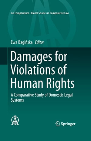 Damages for Violations of Human Rights