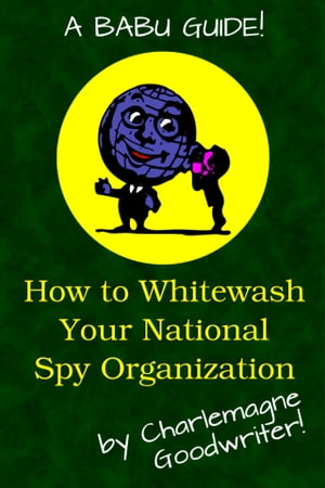 How to Whitewash Your National Spy Organization