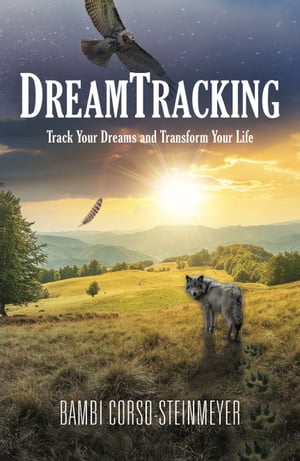 DreamTracking