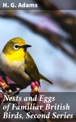 Nests and Eggs of Familiar British Birds, Second Series Described and Illustrated with an Account of the Haunts and Habits of the Feathered Architects, and their Times and Modes of Building【電子書籍】 H. G. Adams