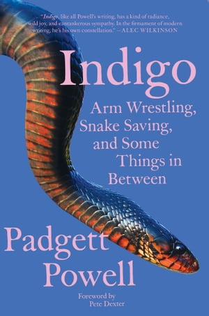Indigo Arm Wrestling, Snake Saving, and Some Things In Between【電子書籍】[ Padgett Powell ]