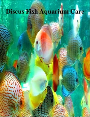 Discus Fish Aquarium Care