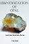 Identification of Opals Australian Gemstones Series Book 9Żҽҡ[ Trudy Toohill ]
