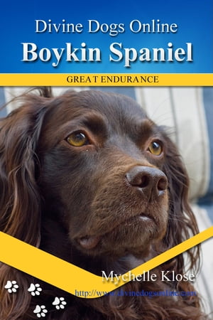 Boykin SpanielŻҽҡ[ Mychelle Klose ]