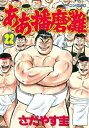 ああ播磨灘（22）【電子書籍】 さだやす圭