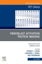 Fibroblast Activation Protein 