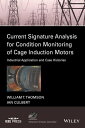 Current Signature Analysis for Condition Monitoring of Cage Induction Motors Industrial Application and Case Histories