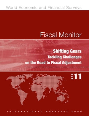 Shifting Gears: Tackling Challenges on the Road to Fiscal Adjustment