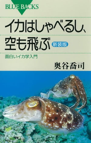 イカはしゃべるし、空も飛ぶ〈新装版〉　面白いイカ学入門