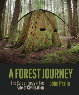 A Forest Journey The Role of Trees in the Fate of Civilization