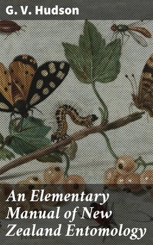 An Elementary Manual of New Zealand Entomology B