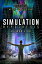 The Simulation Hypothesis