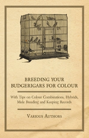 Breeding your Budgerigars for Colour - With Tips on Colour Combinations, Hybrids, Mule Breeding and Keeping Records