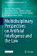 Multidisciplinary Perspectives on Artificial Intelligence and the Law