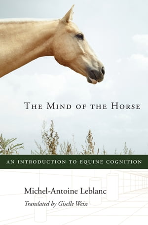 The Mind of the Horse