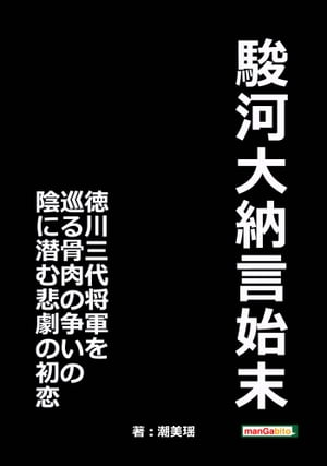 駿河大納言始末　徳川三代将軍を巡る骨肉の争いの陰に潜む悲劇の初恋